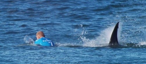 Mick Fanning stands tall among World Surf League rivals after ... - net.au