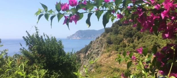 Il meraviglioso paesaggio di Corniglia Il meraviglioso paesaggio di Corniglia