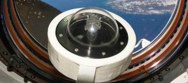 Apollo 11 moon rock in the International Space Station (credit – NASA – wikimediacommons) Apollo 11 moon rock in the International Space Station (credit – NASA – wikimediacommons)