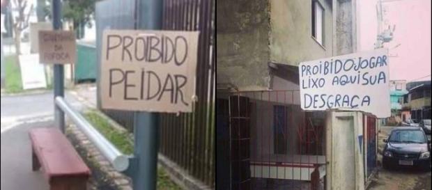 As placas mais bizarras encontradas no Brasil. As placas mais bizarras encontradas no Brasil.