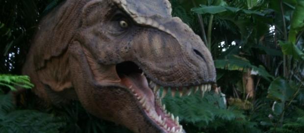 T.Rex could not sprint / Photo via Scott Kinmartin, Flickr T.Rex could not sprint / Photo via Scott Kinmartin, Flickr