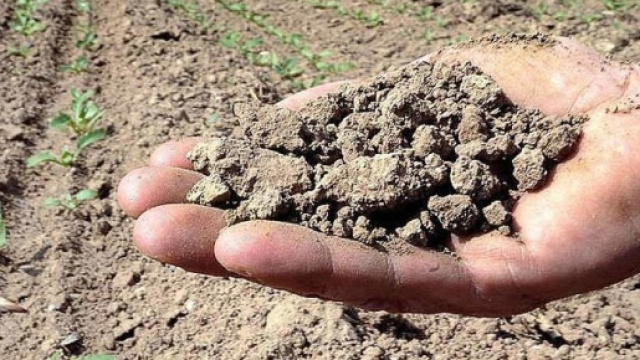 Emergenza siccità in dieci regioni, danni per due miliardi