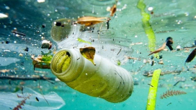La plastica sta ricoprendo il nostro pianeta.