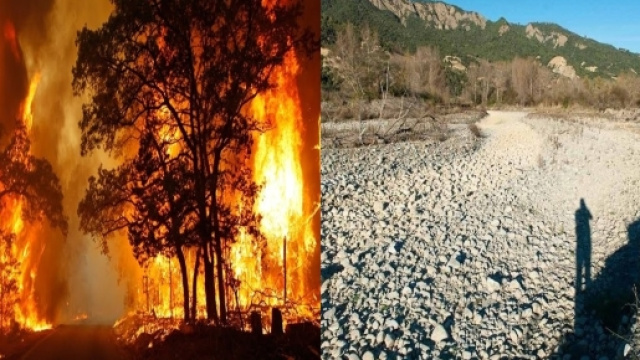 L'Italia da nord a sud continua a bruciare e si prepara all'emergenza siccità