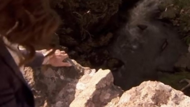 Il Segreto, trame agosto 2017.