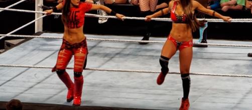 The Bella Twins/ photo by Miguel Discart via Flickr