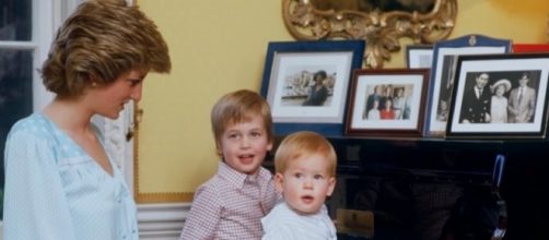 Princes William and Harry break silence over Princess Diana's death in an HBO documentary/Photo via HBODocs, YouTube