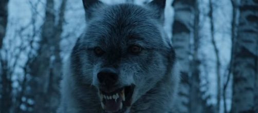 Stormborn: Game of Thrones Season 7 Episode 2: Preview (HBO) Image GameofThrones | YouTube
