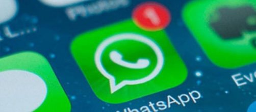 Nuova app per whatsapp, ora le note audio possono essere trasformate in testo