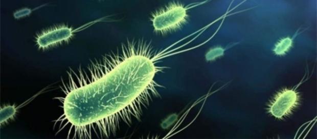 Uso indiscriminado de antibióticos ajudam no surgimento das superbactéricas (Foto: Reprodução) Uso indiscriminado de antibióticos ajudam no surgimento das superbactéricas (Foto: Reprodução)