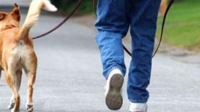 Le spese per gli animali domestici possono essere scaricate