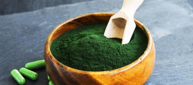 Alga Espirulina, Chlorella y Afa. Algas verdiazules de agua dulce. Alga Espirulina, Chlorella y Afa. Algas verdiazules de agua dulce.