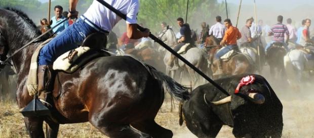 Andisturbios, jinetes y un helicóptero de la Guardia Civil ... - elconfidencialautonomico.com Andisturbios, jinetes y un helicóptero de la Guardia Civil ... - elconfidencialautonomico.com