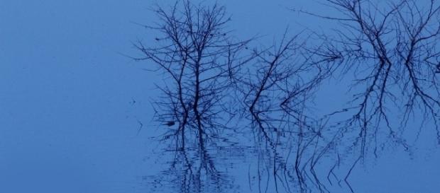 Free photo: Nightmare, Blue, Water - Free Image on Pixabay - 2088647 - pixabay.com Free photo: Nightmare, Blue, Water - Free Image on Pixabay - 2088647 - pixabay.com