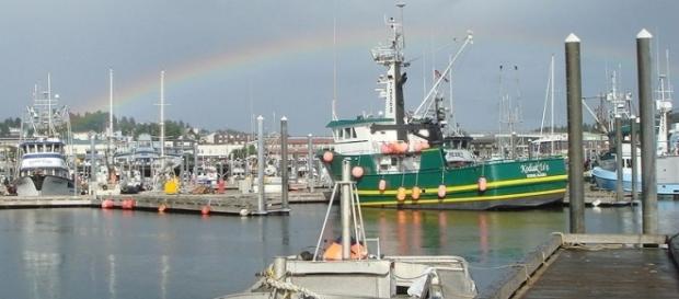 Kodiak Harbor, Alaska (credit – wikimediacommons) Kodiak Harbor, Alaska (credit – wikimediacommons)
