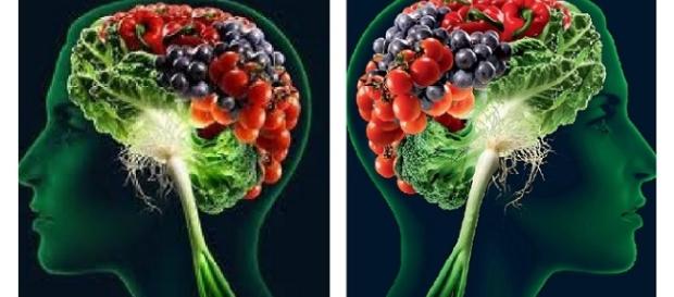 La dieta gioca un ruolo importante sia nell’insorgenza che nel contrasto dell’Alzheimer. La dieta gioca un ruolo importante sia nell’insorgenza che nel contrasto dell’Alzheimer.