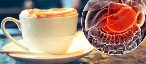 Os riscos por trás do café. / Imagem: TOTOJANG1977 E SEBASTIAN KAULITZKI/SHUTTERSTOCK Os riscos por trás do café. / Imagem: TOTOJANG1977 E SEBASTIAN KAULITZKI/SHUTTERSTOCK