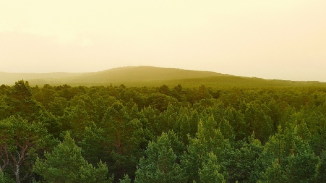 Arriva l'overshootday 2017, mai così presto avverte il GFN