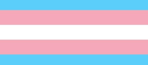 The transgender flag (Image credit: Transgender Flags via Wikipedia)