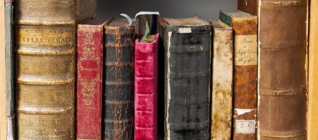 Books can be the source of positive influence in our lives (source: Pixabay) Books can be the source of positive influence in our lives (source: Pixabay)