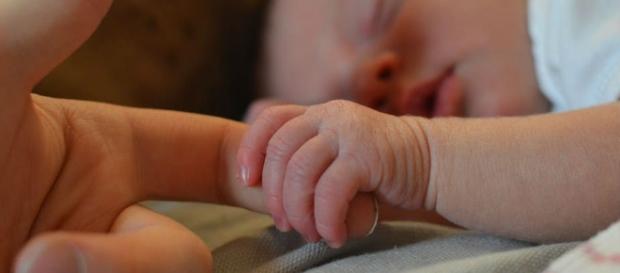 Charlie Gard will die in hospice (courtesy Pexels Creative Commons) Charlie Gard will die in hospice (courtesy Pexels Creative Commons)