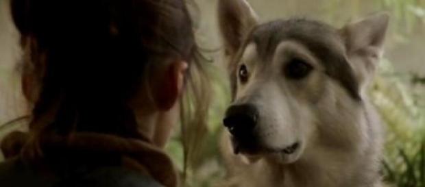 Game of Thrones : La réunion tant attendue nous laisse sur un mystère... Game of Thrones : La réunion tant attendue nous laisse sur un mystère...