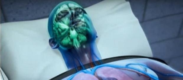 Image by NEWZANDNATURE/YouTube screencap. Image by NEWZANDNATURE/YouTube screencap.