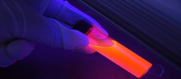 Nuovi concorsi pubblici per biologi Nuovi concorsi pubblici per biologi
