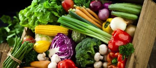 Vegan diets could be damaging children's health, nutritionists ... - metro.co.uk
