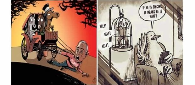 Animais fazendo atividades humanas. ( Imagem: Reprodução) Animais fazendo atividades humanas. ( Imagem: Reprodução)