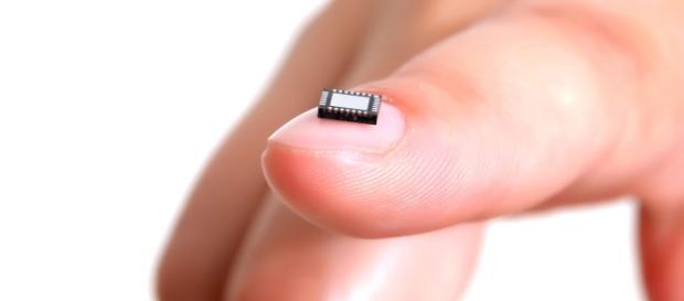 Esempio di microchip sottocutaneo. Esempio di microchip sottocutaneo.