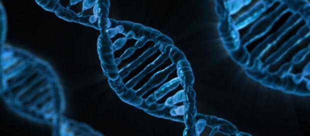 US scientists have edited the genes of human embryos for the first time/Photo via mcmurryjulie, Pixabay US scientists have edited the genes of human embryos for the first time/Photo via mcmurryjulie, Pixabay