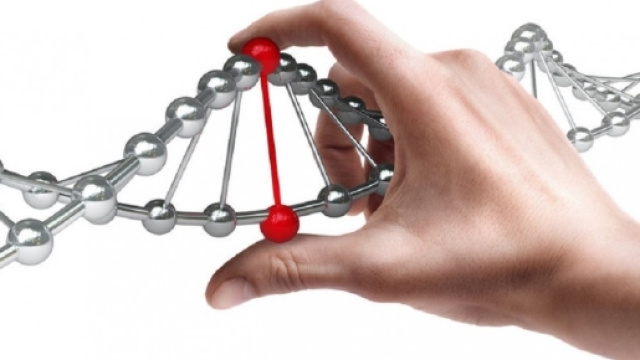 Embrioni umani modificati geneticamente. &Egrave; polemica.