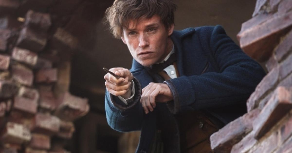 newt scamander fantastic beasts and where to find them newt