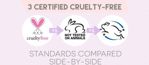 Trois labels cruelty free qui s'engagent sérieusement à protéger les animaux des tests cosmétiques.