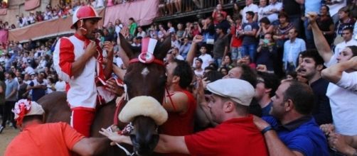 il fantino scompiglio all'arrivo e la festa per la vittoria