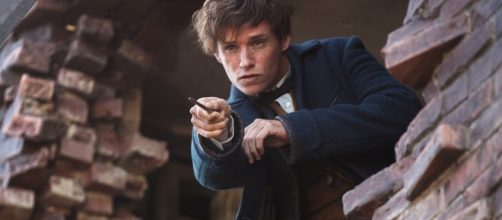 Newt Scamander (Flickr Blagogames)