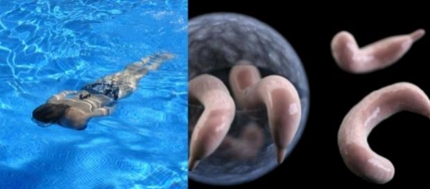 Esta doença é perigosa e muitas pessoas a contraem quando se descuidam ao entrar na piscina. ( Foto: Reprodução) Esta doença é perigosa e muitas pessoas a contraem quando se descuidam ao entrar na piscina. ( Foto: Reprodução)