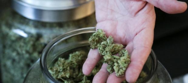 Nevada to become fifth state to legalize recreational marijuana ... - aol.com Nevada to become fifth state to legalize recreational marijuana ... - aol.com