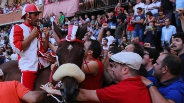 il fantino scompiglio all'arrivo e la festa per la vittoria