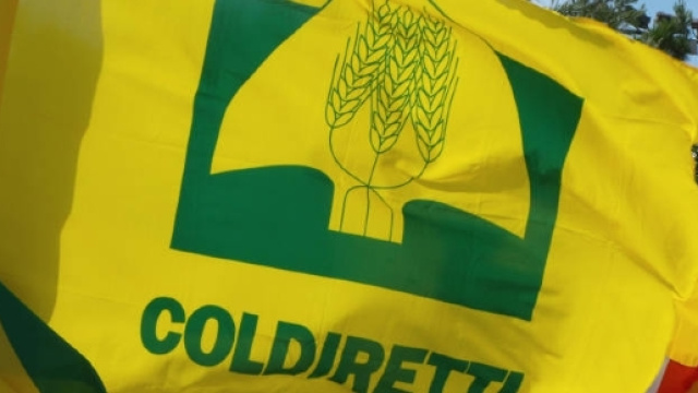 La Coldiretti a Palazzo Zanca per il made in Italy e contro le agromafie