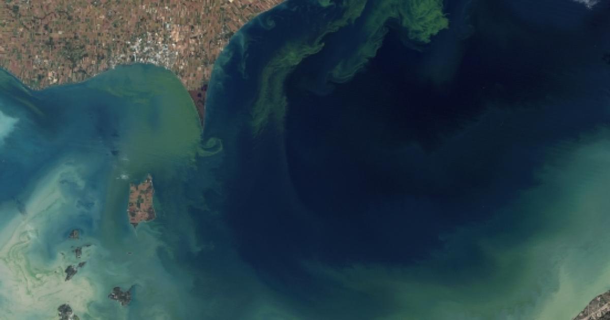 Climate change likely to worsen dead zones and toxic algae blooms