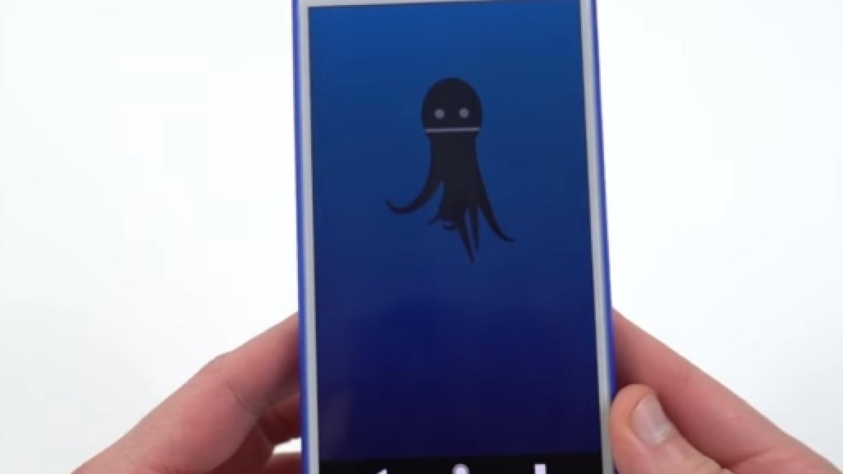 octopus android developer