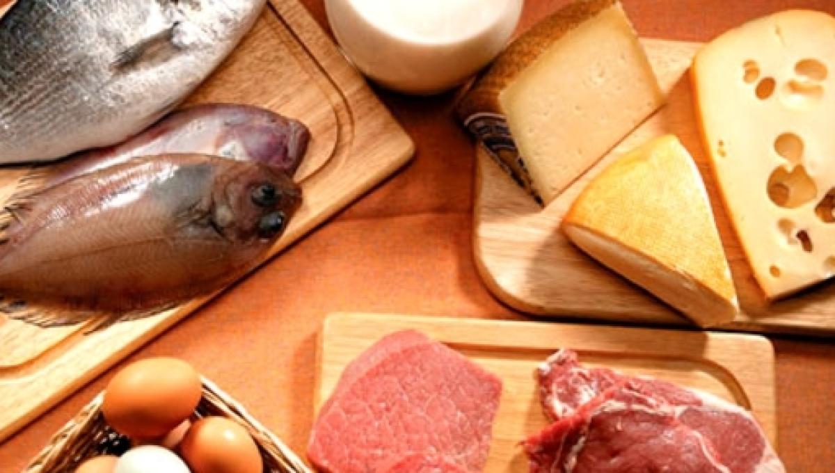 Cual es la importancia de consumir proteinas en nuestra dieta diaria Cual es la importancia de consumir proteinas en nuestra dieta diaria