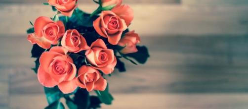 Free photo: Roses, Flowers, Bouquet, Love - Free Image on Pixabay ... - pixabay.com