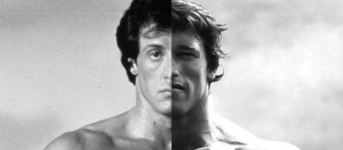 I own this picture. I created it for Sylvester Stallone FanPage