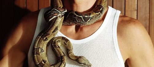 Caring for Pet Boa Constrictors - thespruce.com