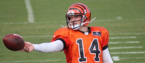 Cincinnati Bengals 2017 NFL preview - Photo: Flickr