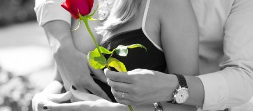 Free photo: Red Rose, Love, Romantic, Couple - Free Image on ... - pixabay.com