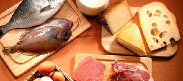 Es importante consumir proteínas en la dieta diaria - Contenido - com.mx Es importante consumir proteínas en la dieta diaria - Contenido - com.mx